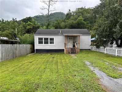 113 Locust Street, Stollings, WV 25646 - MLS#: 266737