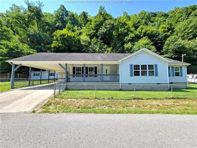 632 Accoville Hollow Road Unit 632, Man, WV 25635 - #: 271659