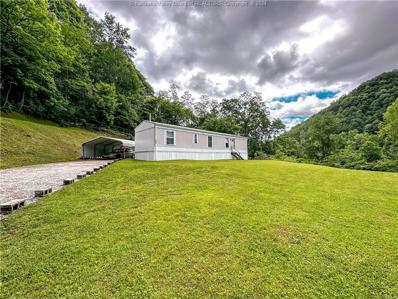 138 Litz Hill Road Unit 138, Man, WV 25606 - #: 272155