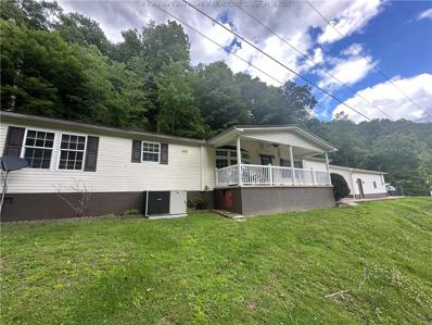 24 Dans Branch Road Unit 24, Williamson, WV 25661 - #: 272337