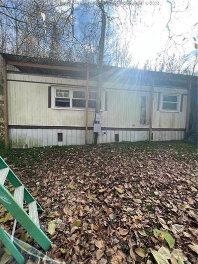 828 Jodie Road, Jodie, WV 26690 - #: 272414