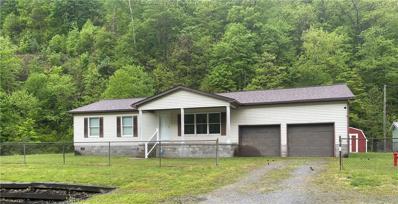 5447 Buffalo Creek Road Unit 5447, Amherstdale, WV 25607 - #: 272487