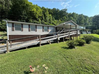 78 Jayber Lane Unit 78, Delbarton, WV 25670 - #: 273646