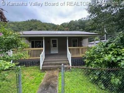 116 Red Jacket Road Unit 116, Matewan, WV 25692 - #: 273771