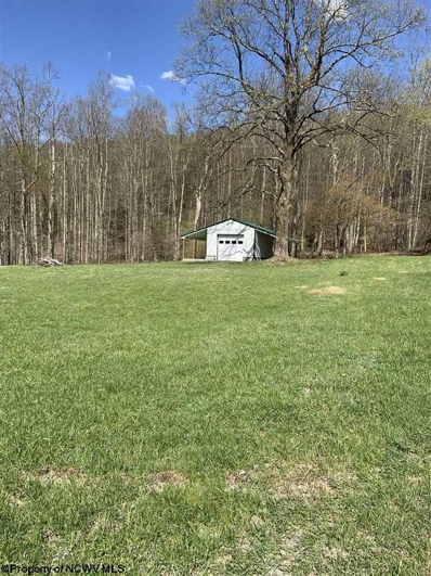 Palace Valley Road, Helvetia, WV 26224 - #: 10137343