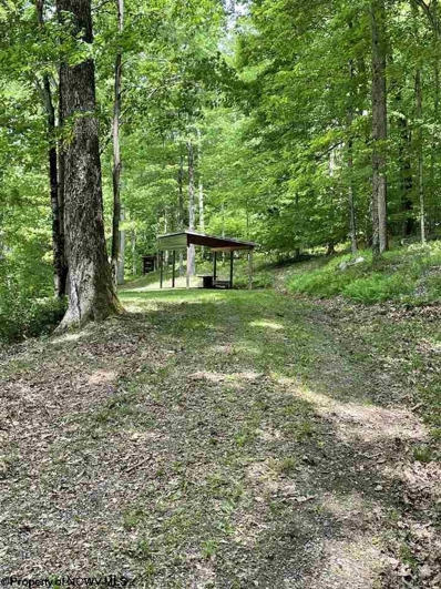 Palace Valley Road, Helvetia, WV 26224 - #: 10138041
