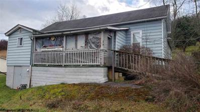 250 LOCUST Avenue, Belington, WV 26250 - #: 10141626