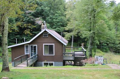 75 CURRY Road, French Creek, WV 26218 - MLS#: 10145277