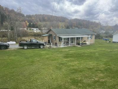 50 WILLOW Street, Belington, WV 26250 - #: 10146314