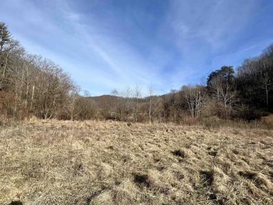 TBD BEVERLIN FORK Road, Center Point, WV 26339 - #: 10147645