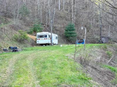 191 HACKER Valley, Pickens, WV 26230 - MLS#: 10148623