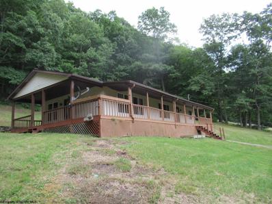 255 MURPHY Road, Wallace, WV 26448 - MLS#: 10150568