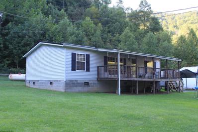 290 BARNETT RUN Road, Birch River, WV 26610 - MLS#: 10151036