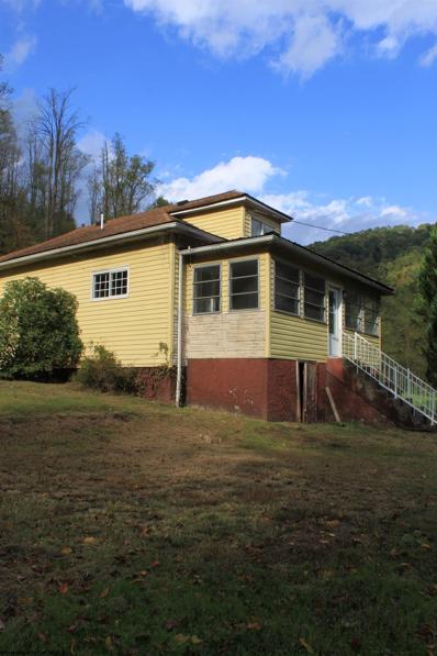 70 RED BLUFF Road, Webster Springs, WV 26288 - #: 10151470