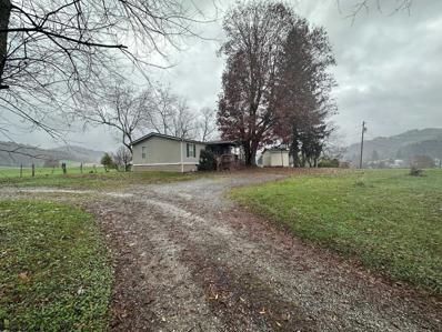 40 W POINT Drive, Belington, WV 26250 - #: 10151699