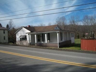 140 BEECH Avenue, Belington, WV 26250 - #: 10152670