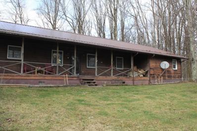 4507 POINT MOUNTAIN Road, Webster Springs, WV 26288 - #: 10152681