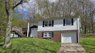 142 HIGHLAND Avenue, Belington, WV 26250 - #: 10154009