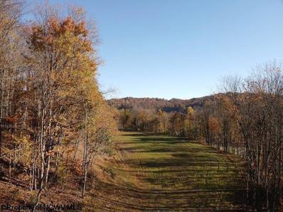 LOT A ISLAND Road, Junior, WV 26275 - #: 10154274