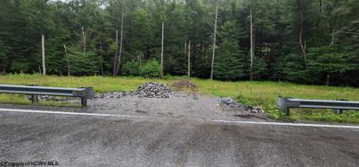 TBD 0 MORGAN Road, Helvetia, WV 26224 - MLS#: 10156202